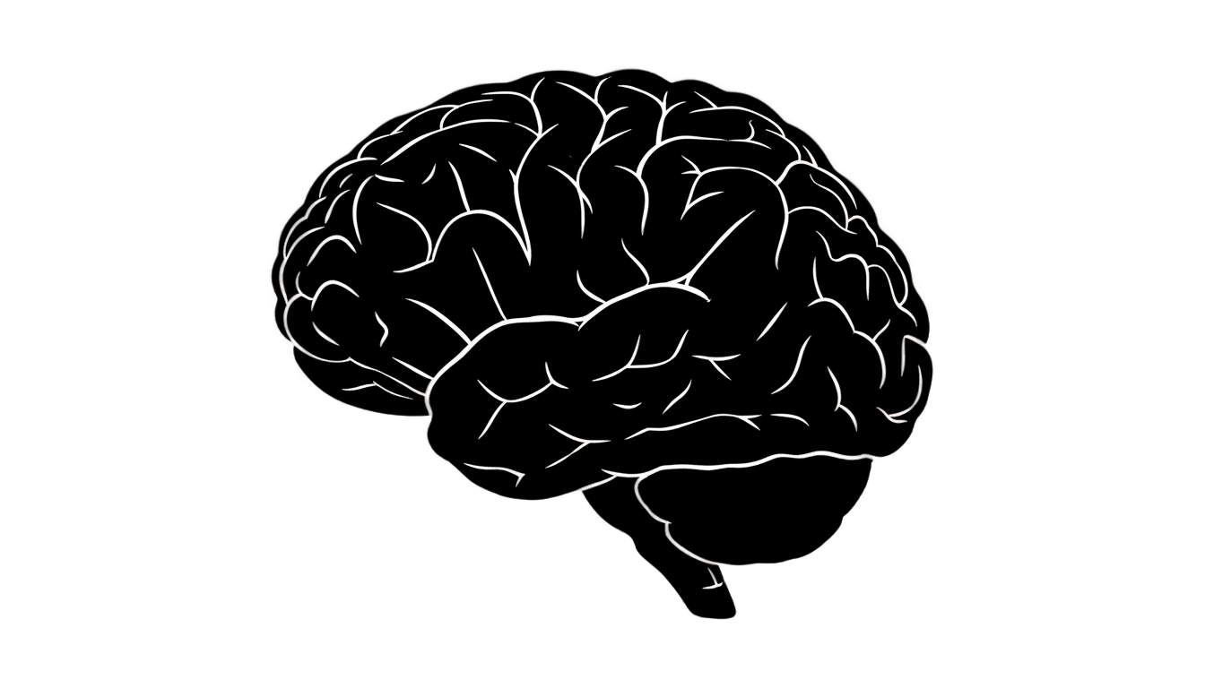 brain silhouette png PNG transparent background