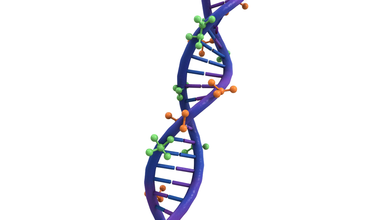 dna illustration png PNG transparent background