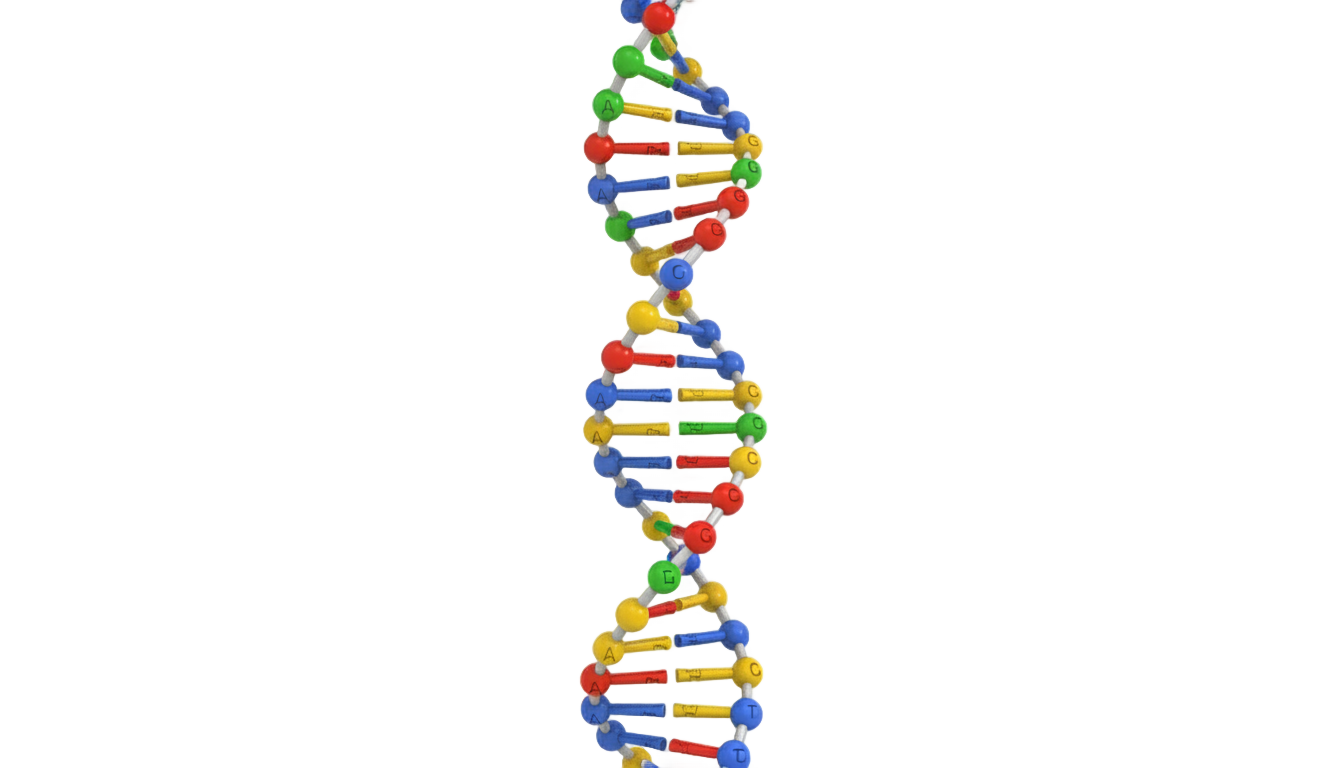 dna symbol png PNG transparent background