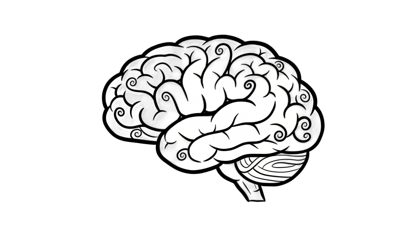 brain doodle png PNG transparent background