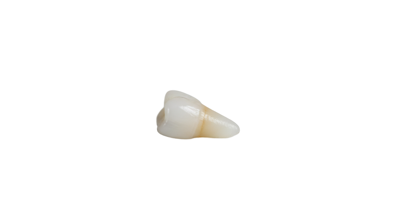 i got my first tooth png PNG transparent background