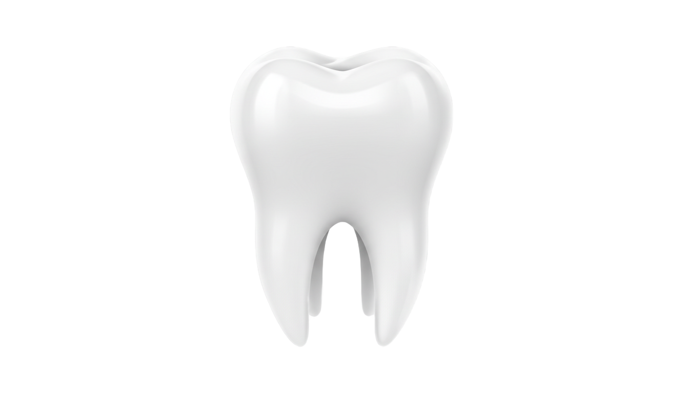 tooth symbol png PNG transparent background