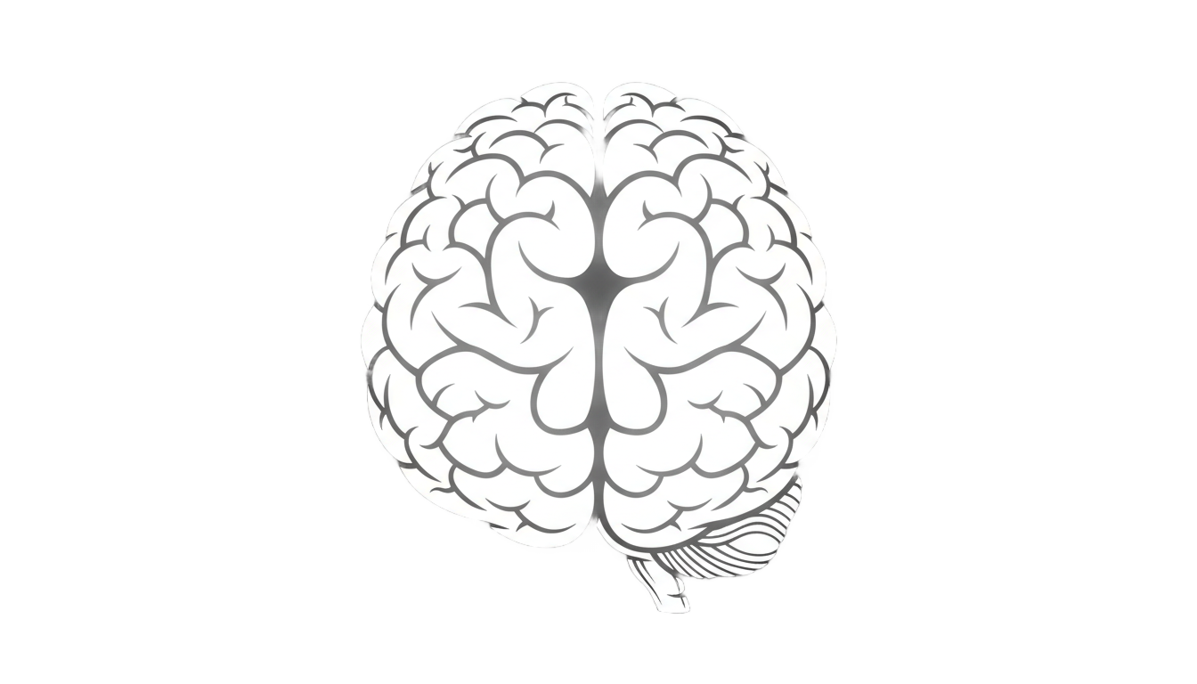 brain icon png white PNG transparent background