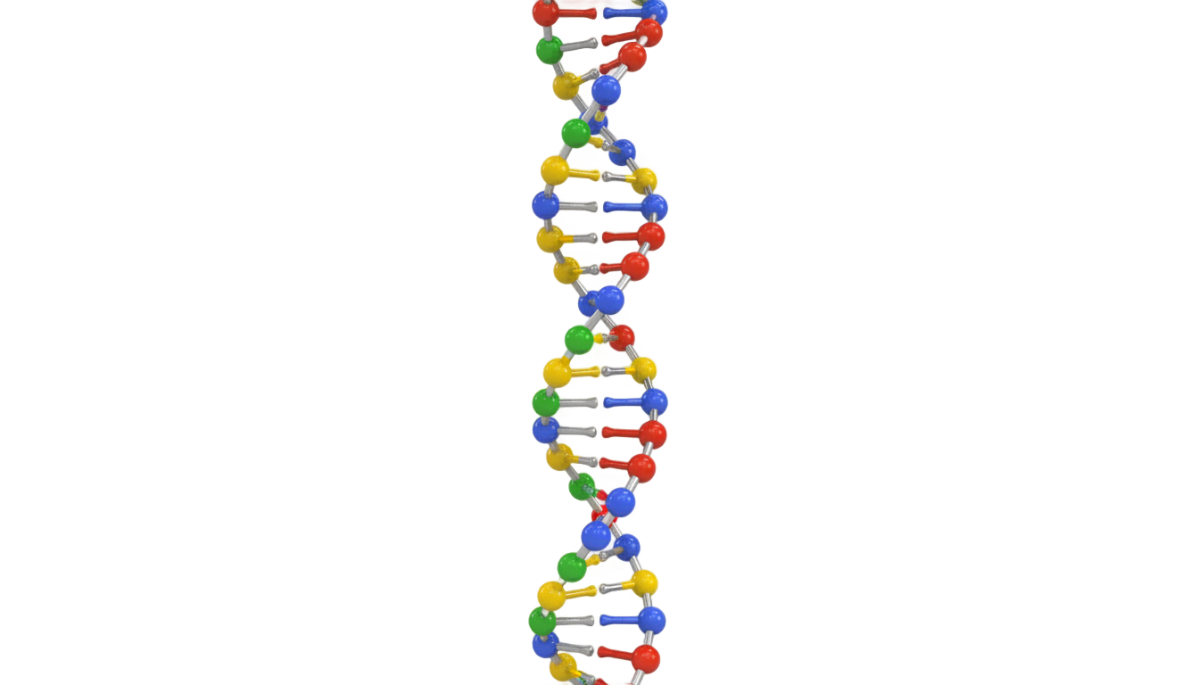 dna symbol png PNG transparent background