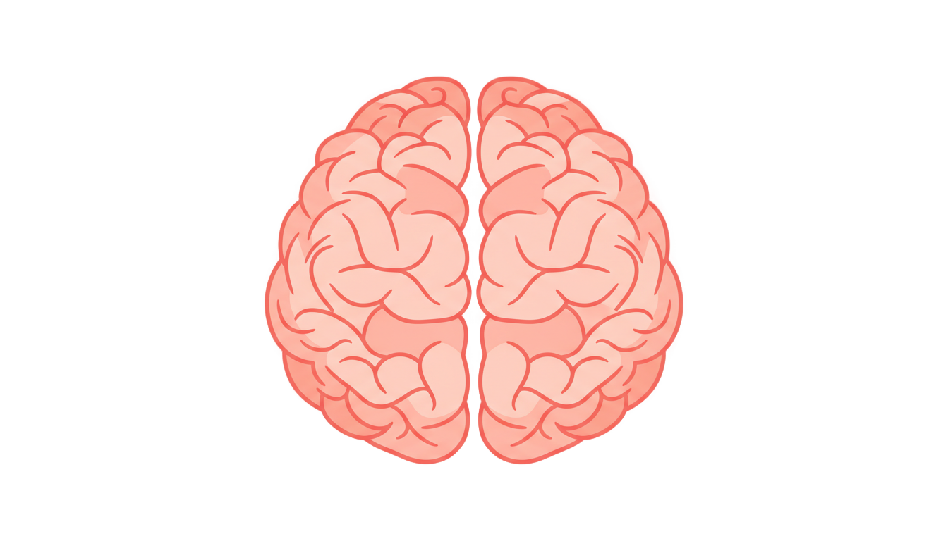 brain clipart png PNG transparent background