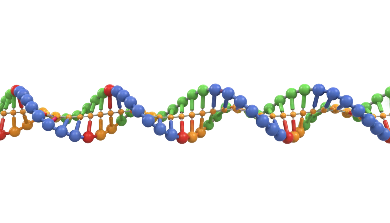 dna strand png PNG transparent background