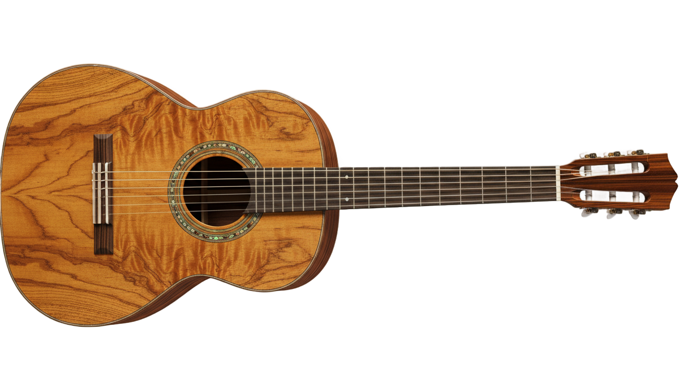 acoustic guitar vector png PNG transparent background