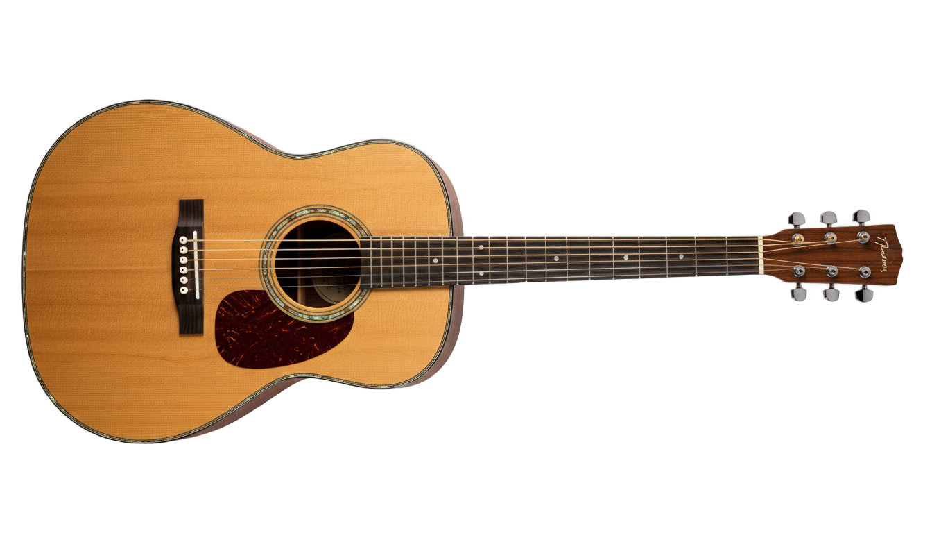 acoustic guitar vector png PNG transparent background