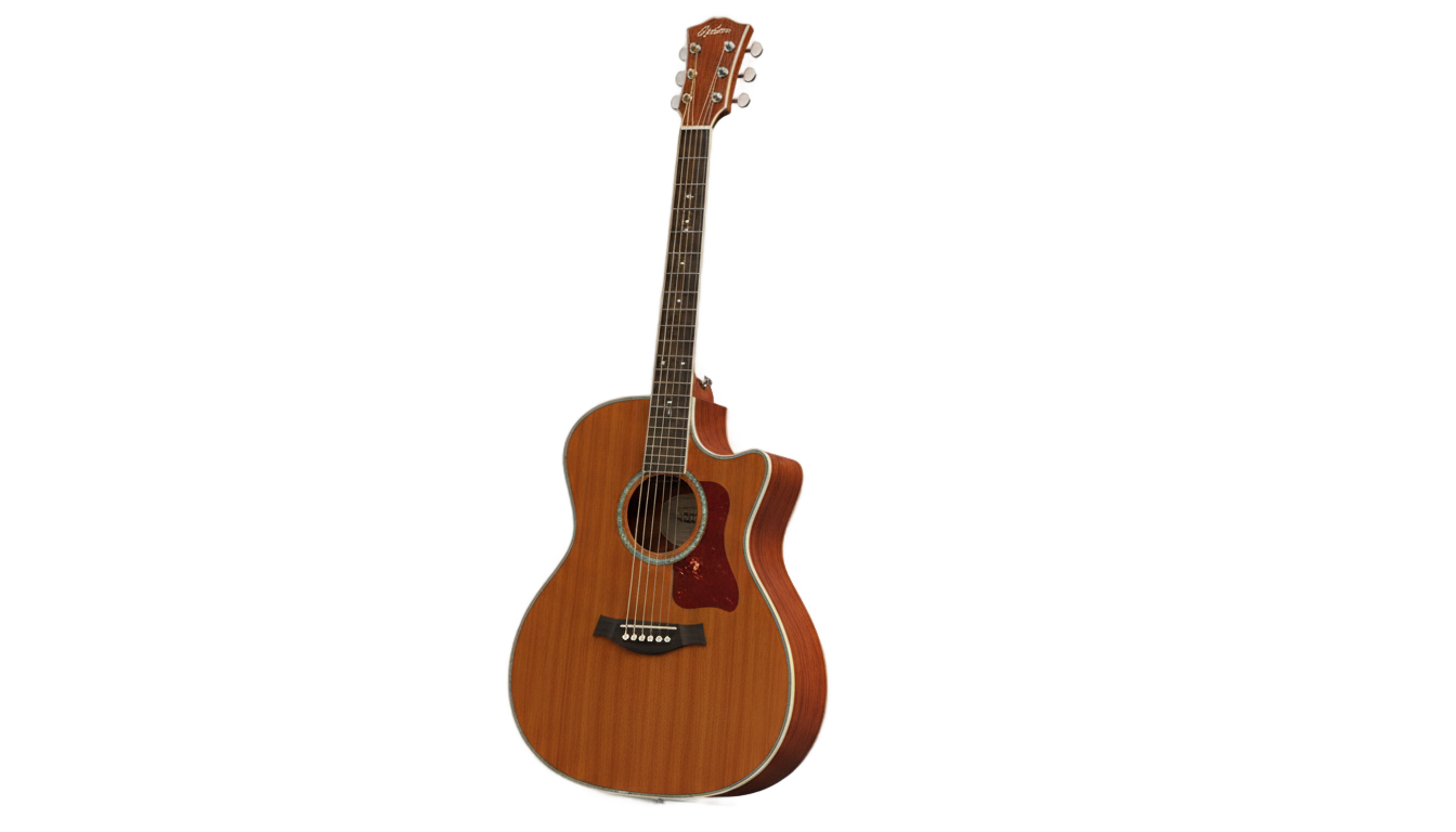 real guitar png PNG transparent background