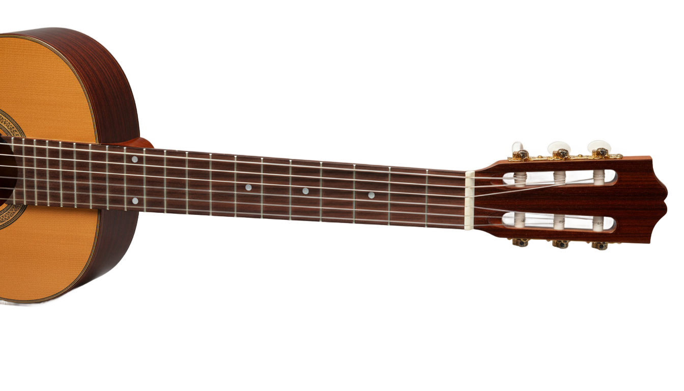 guitar neck png PNG transparent background