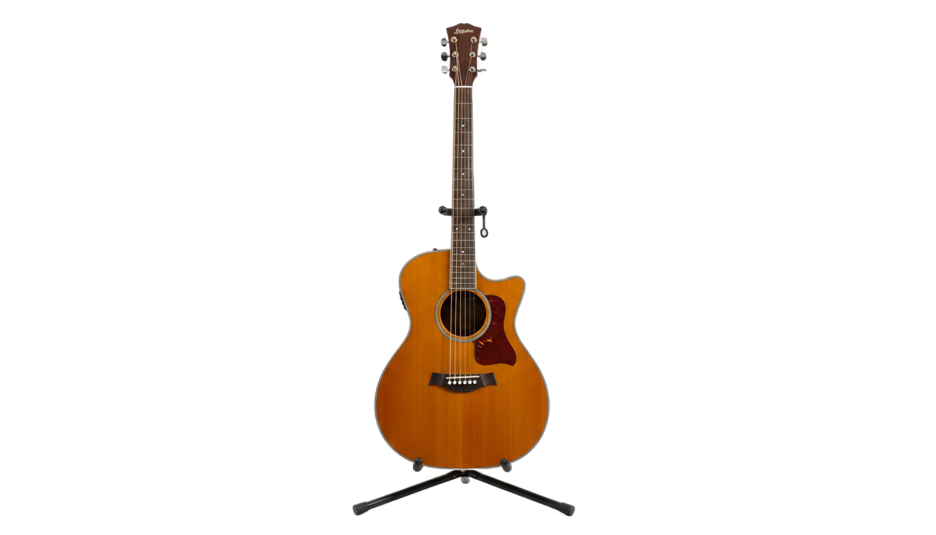 guitar on stand png PNG transparent background