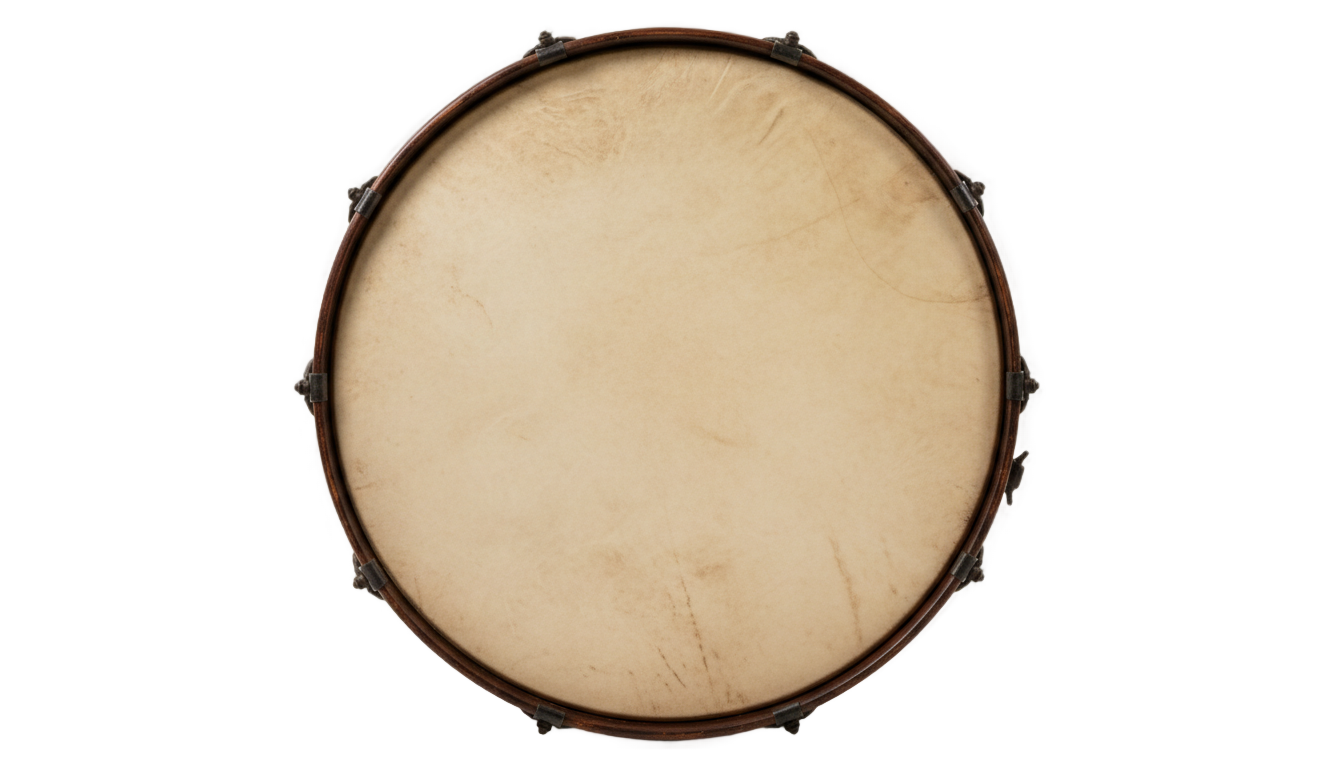 skin kick drum png PNG transparent background