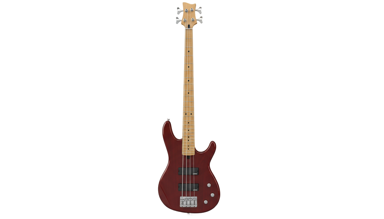 bass guitar vector png PNG transparent background
