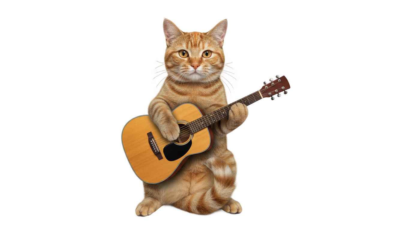 cat with guitar png PNG transparent background