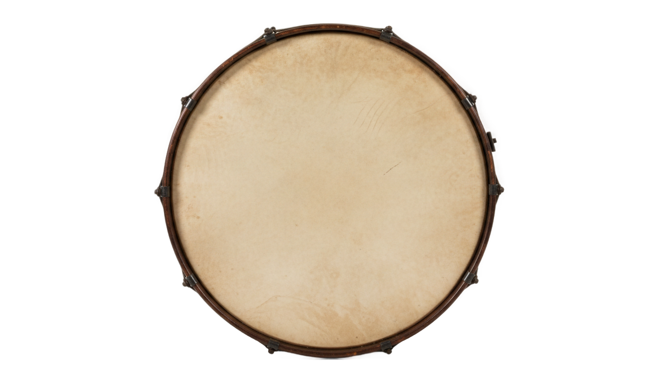 skin kick drum png PNG transparent background