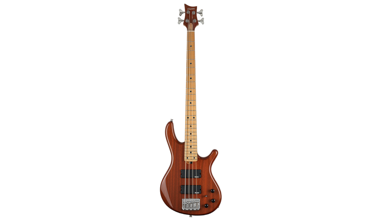 bass guitar icon png PNG transparent background