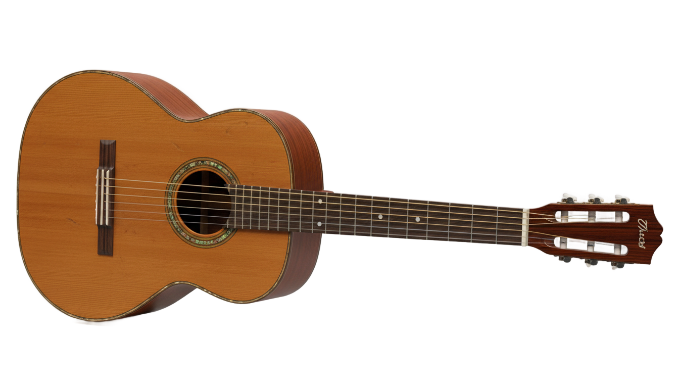 acoustic guitar icon png PNG transparent background
