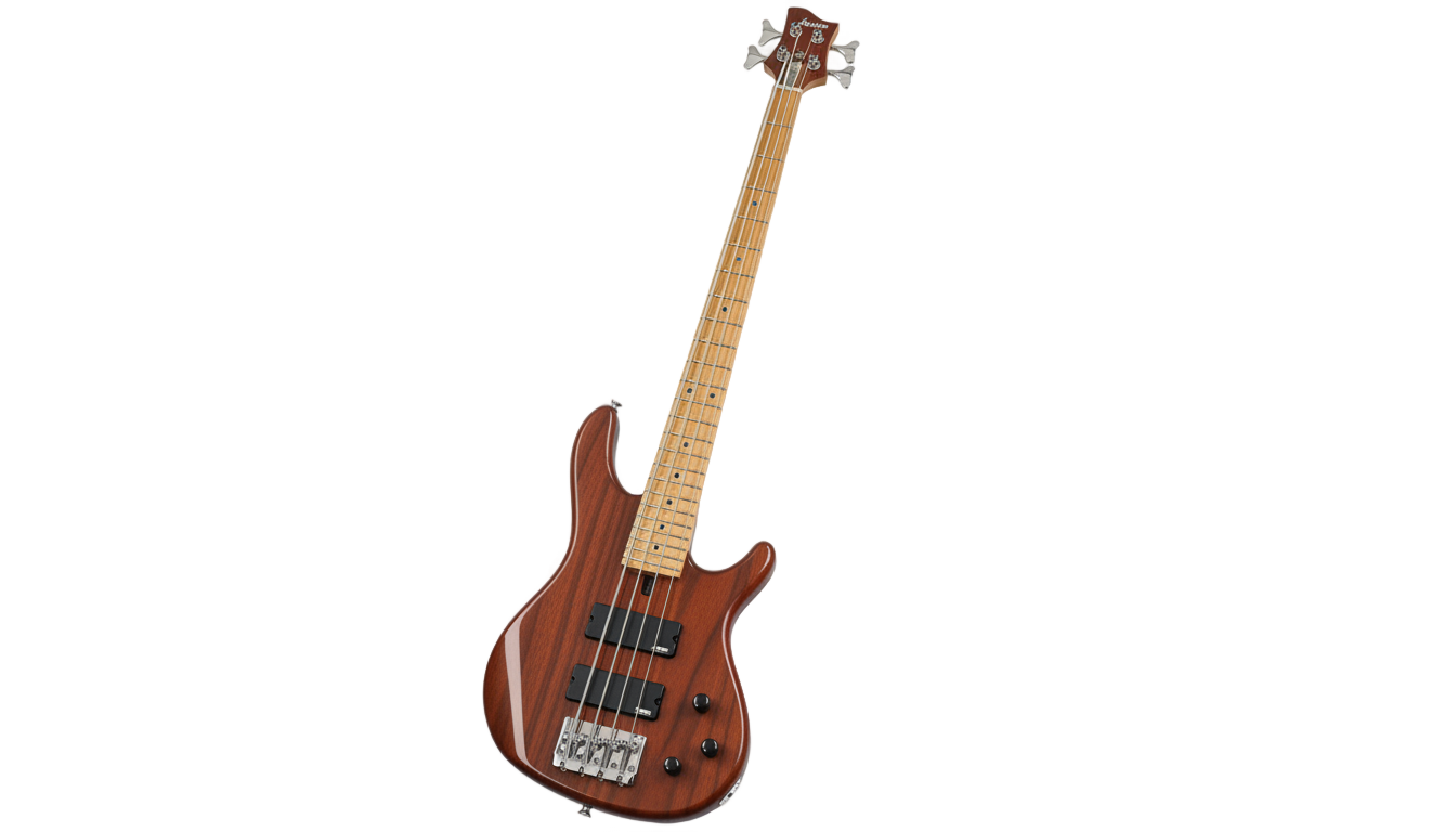 bass guitar icon png PNG transparent background