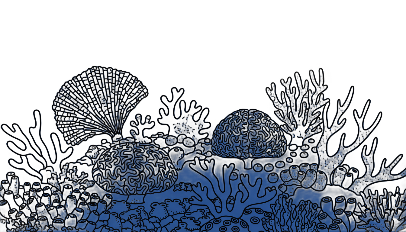 coral reef silhouette png PNG transparent background