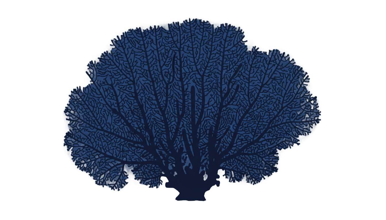 coral silhouette png PNG transparent background