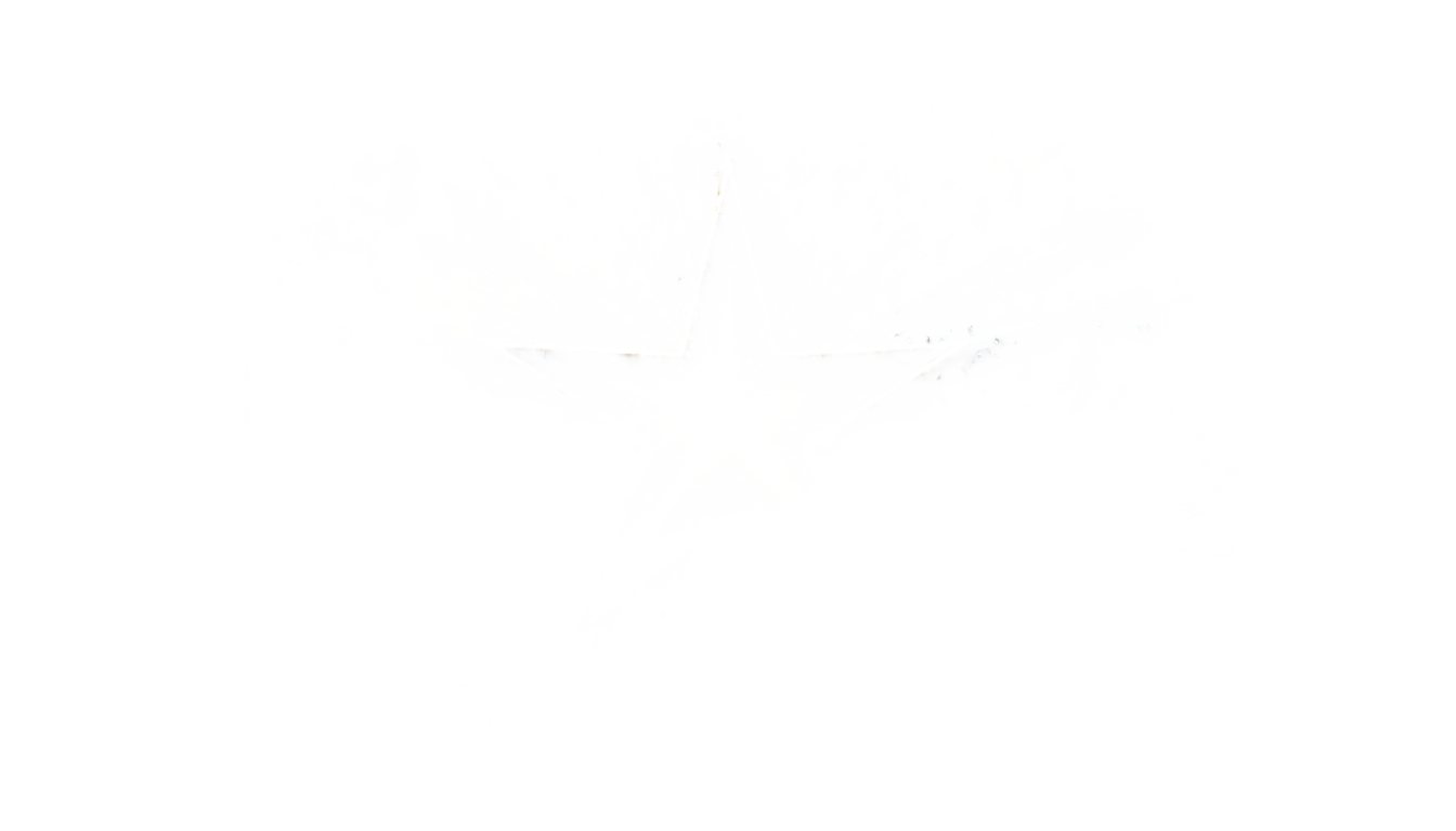 twinkling star png PNG transparent background