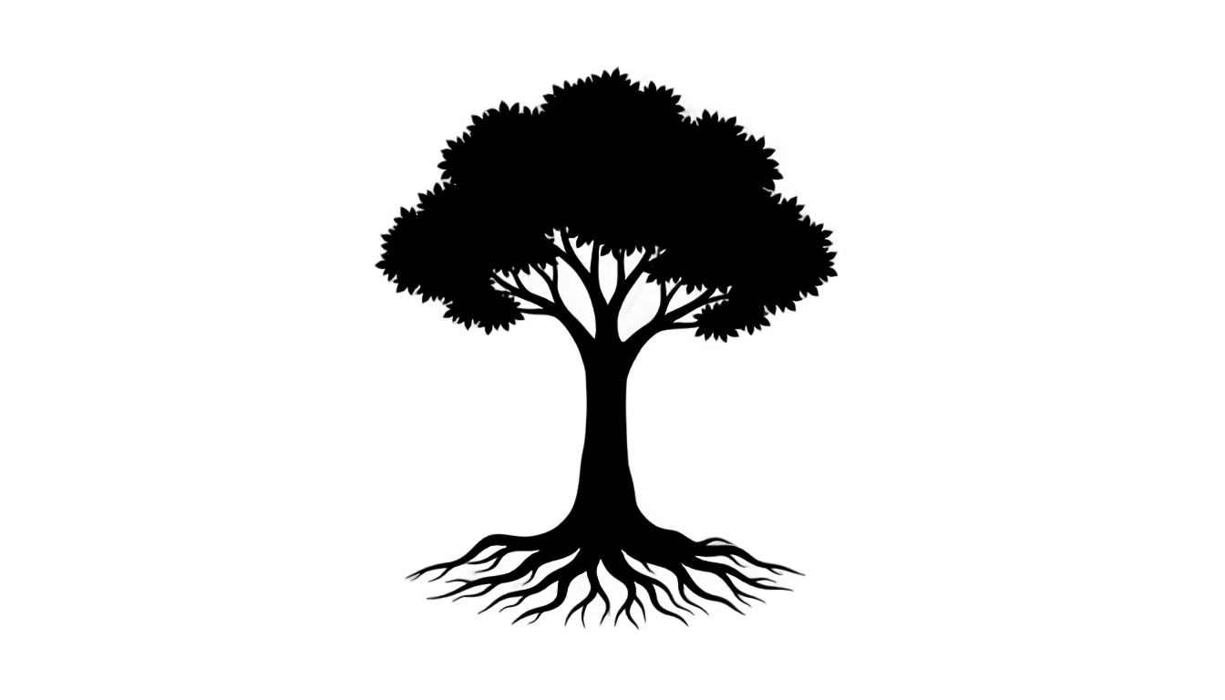tree outline png PNG transparent background