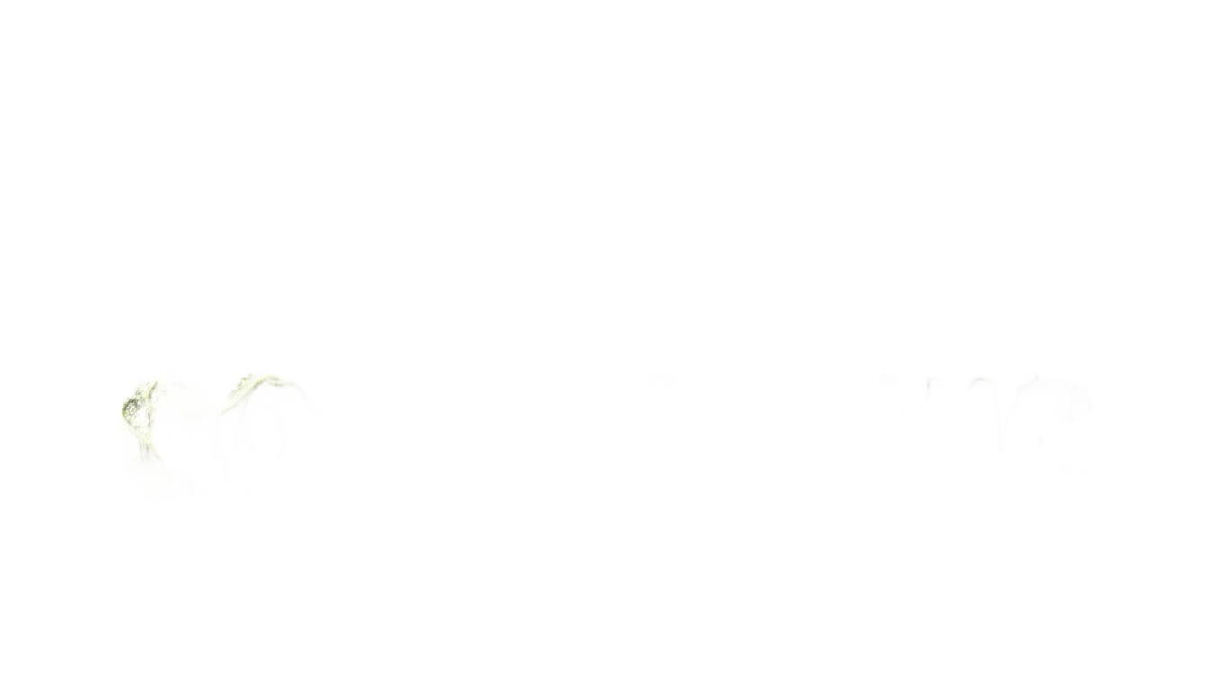 kong skull island logo png PNG transparent background