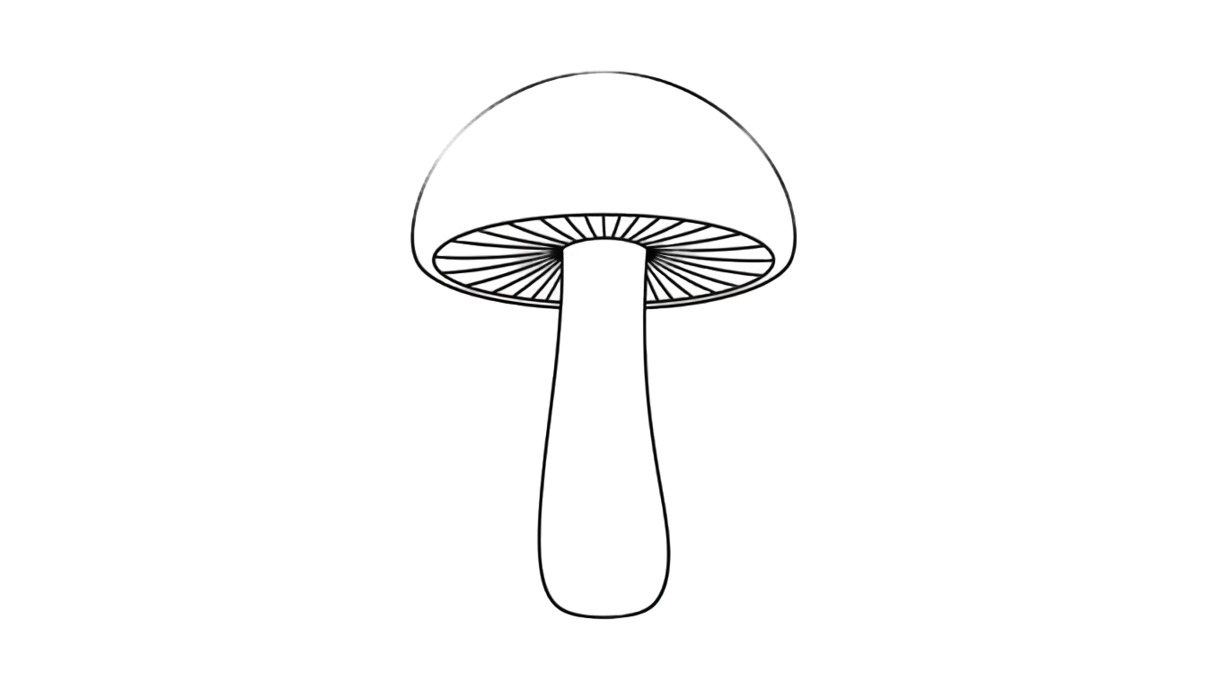 mushroom line art png PNG transparent background