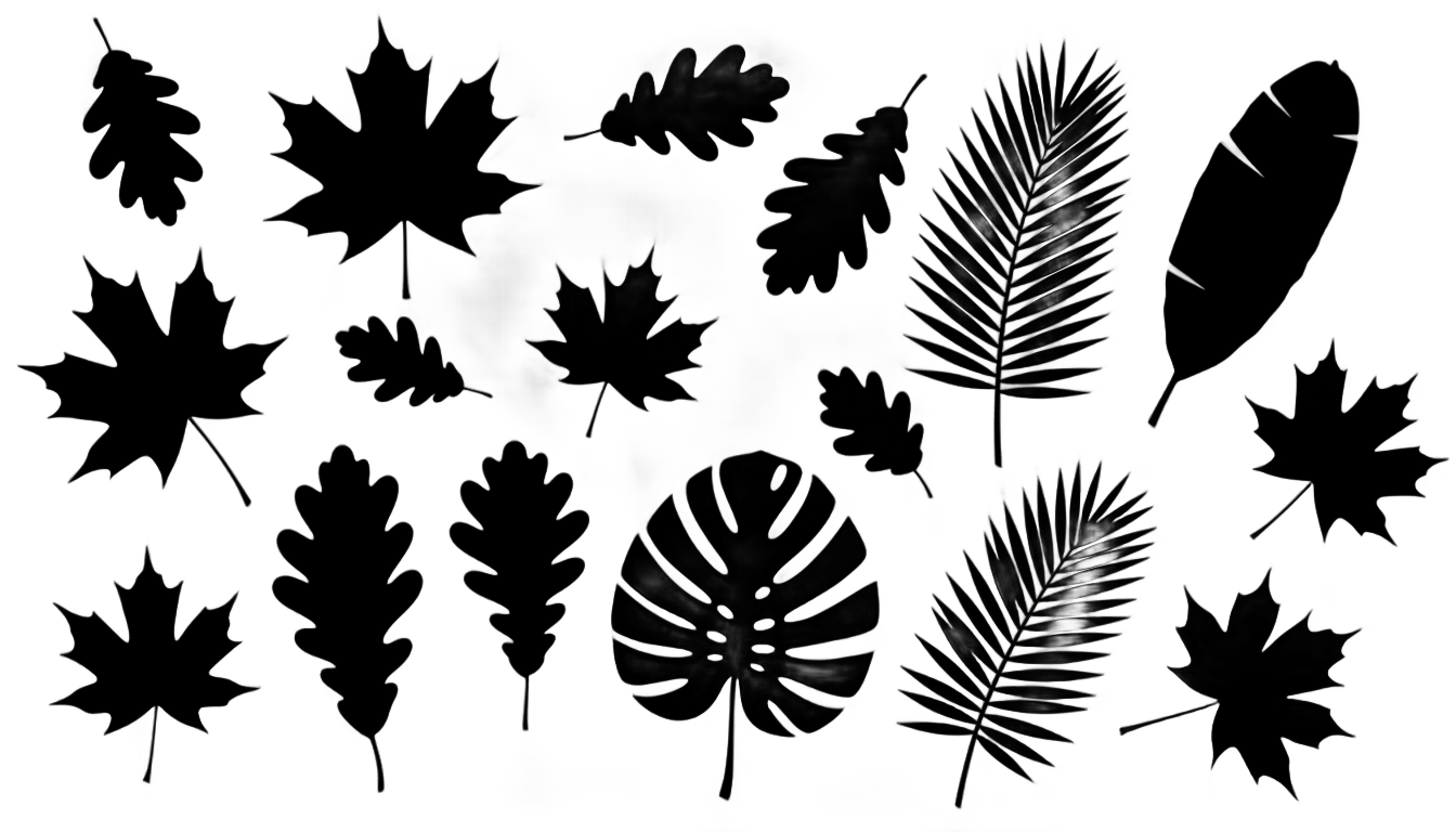 leaf shapes png PNG transparent background