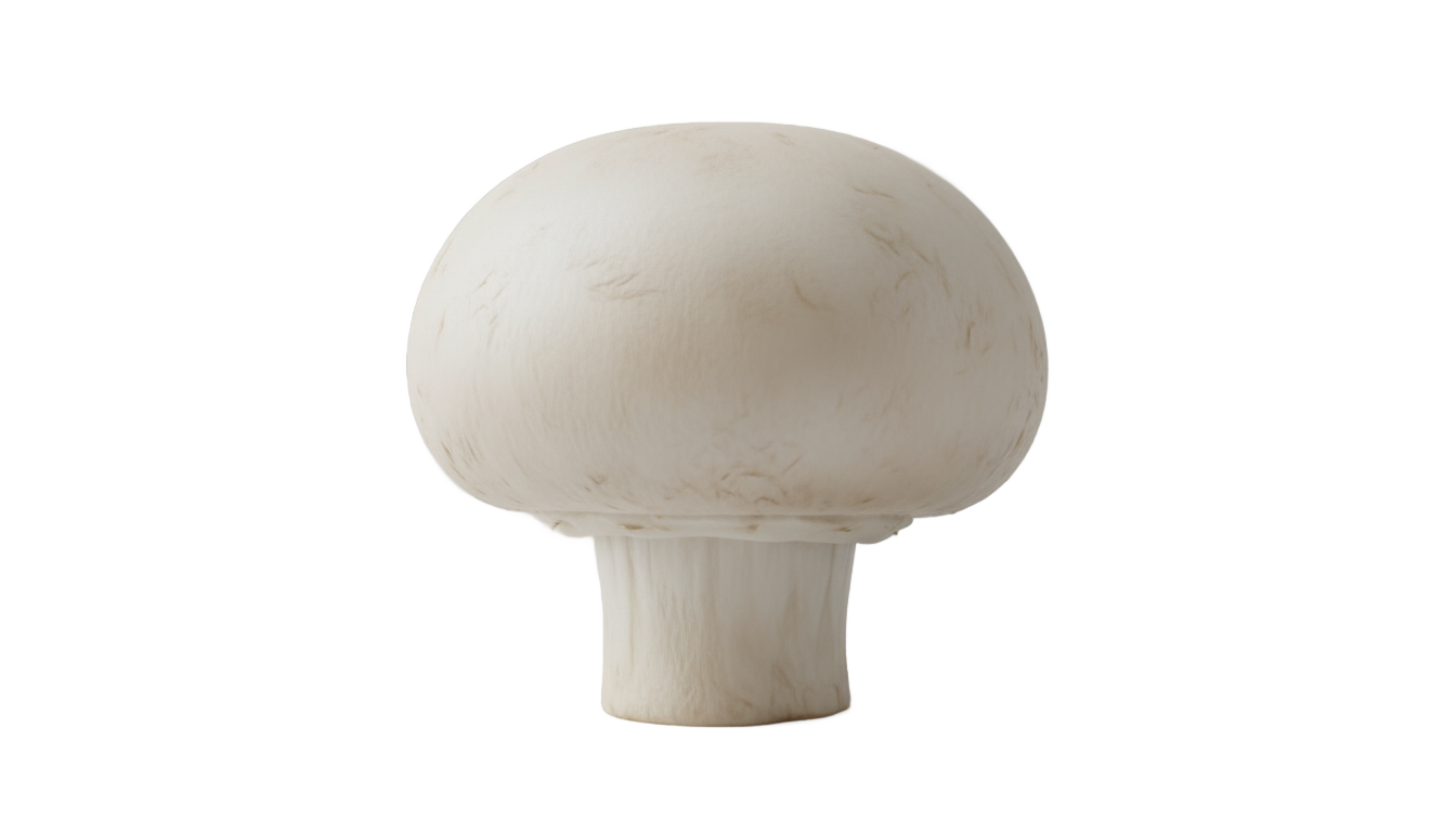white mushroom png PNG transparent background