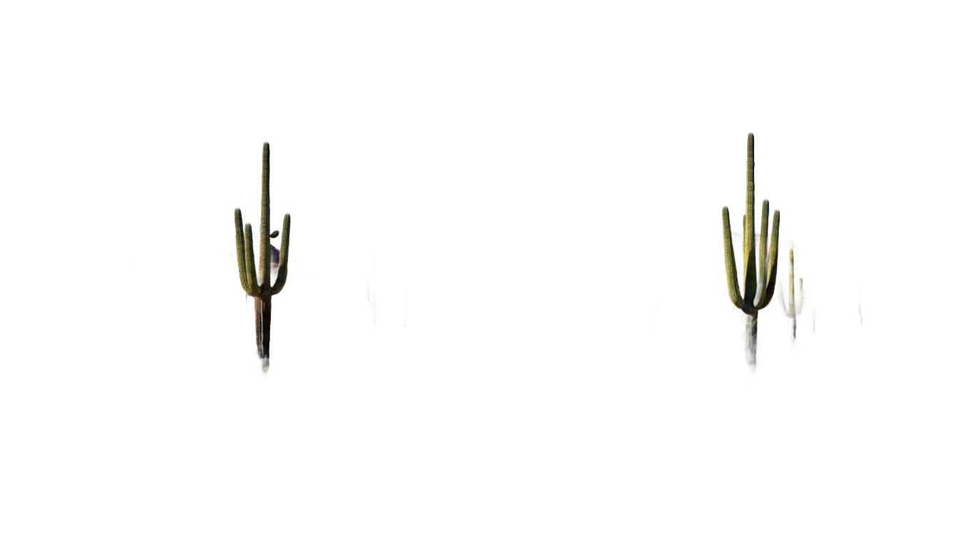 arizona desert png PNG transparent background
