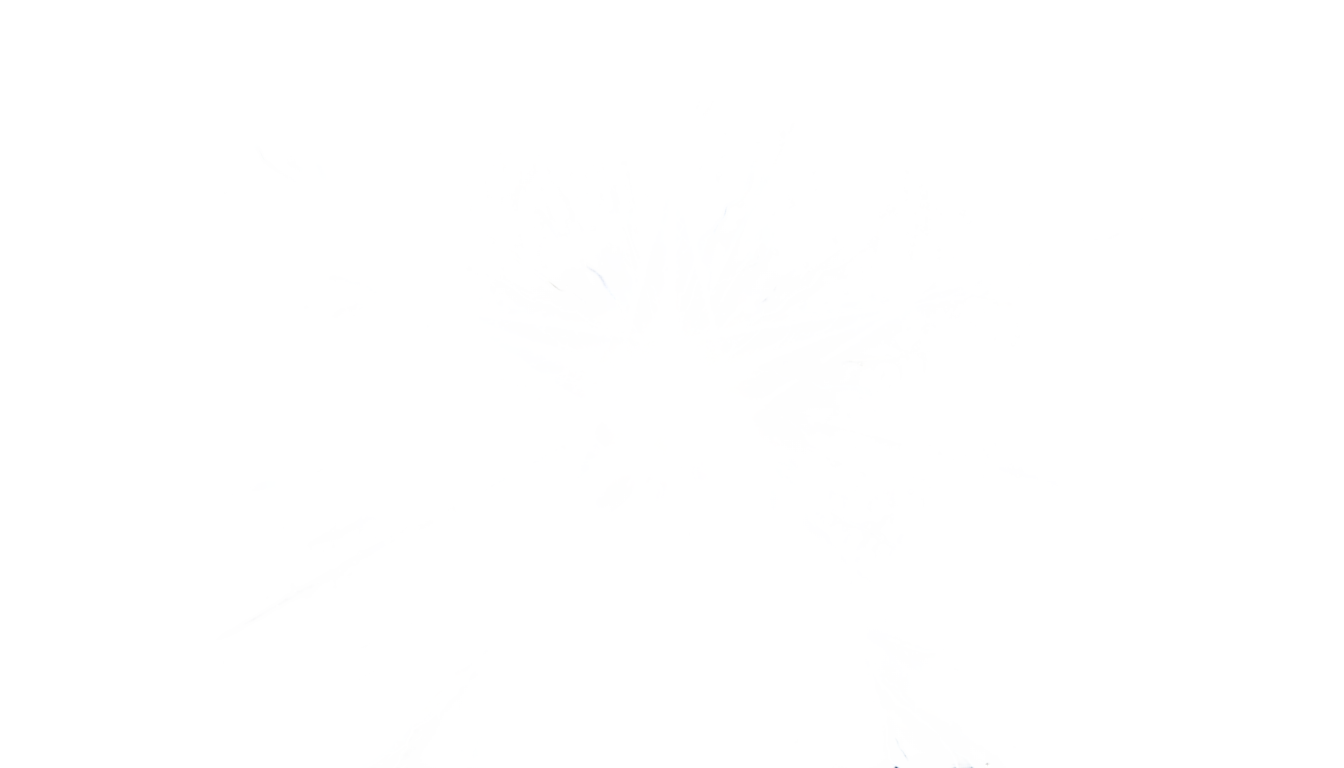 twinkling star png PNG transparent background