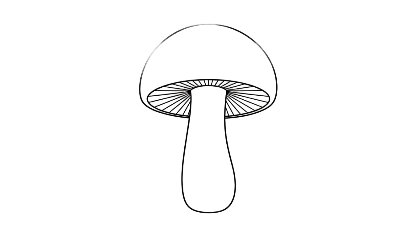 mushroom line art png PNG transparent background