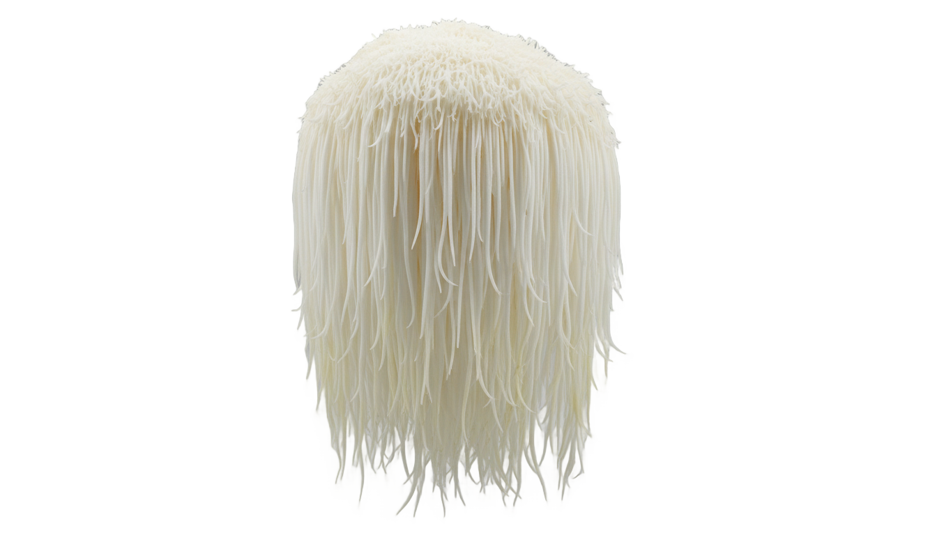 lion's mane mushroom png PNG transparent background