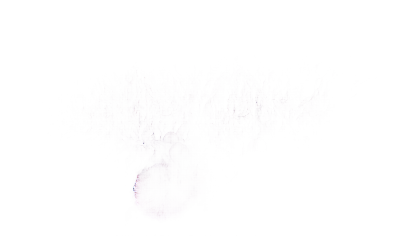 coral reefs png PNG transparent background