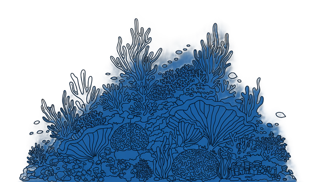 coral reef silhouette png PNG transparent background