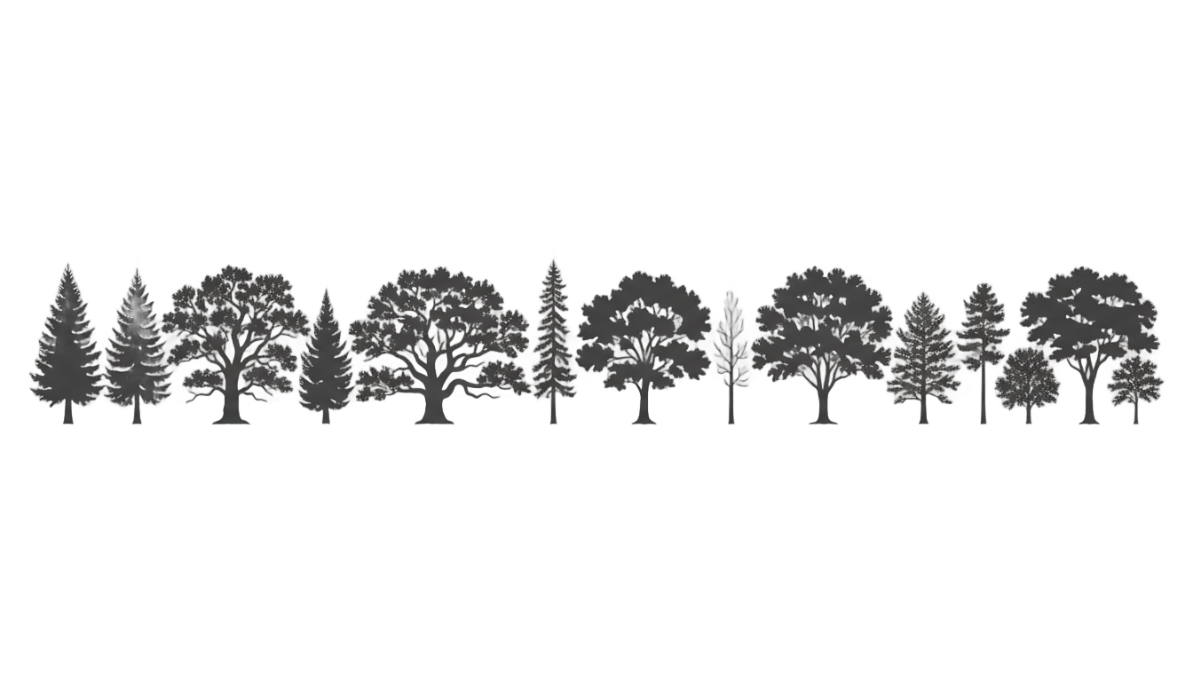 tree line png PNG transparent background