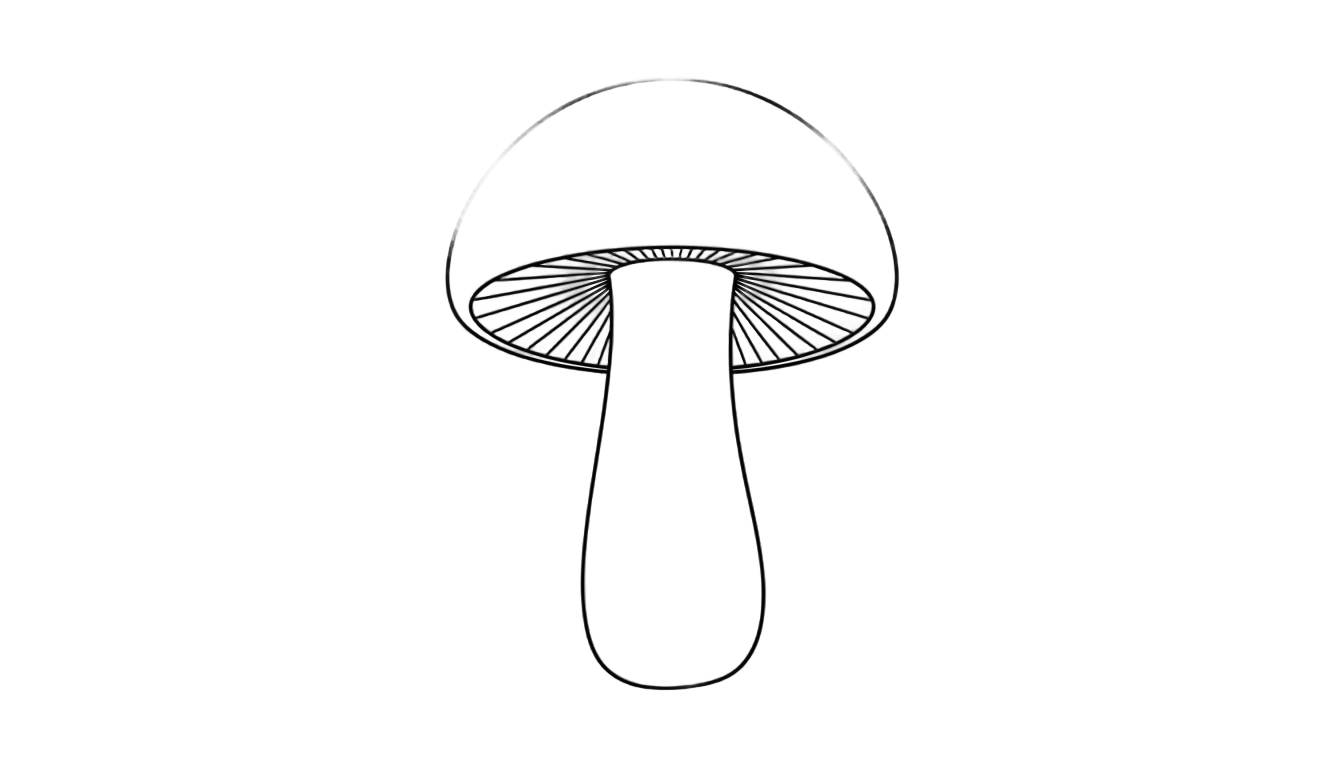 mushroom line art png PNG transparent background