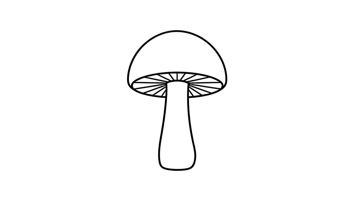 mushroom line art png PNG transparent background