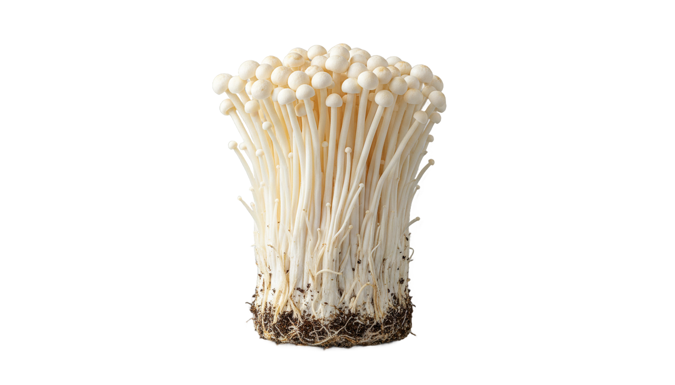 enoki mushroom png PNG transparent background