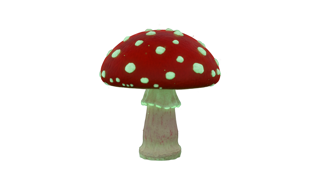 teemo mushroom png PNG transparent background