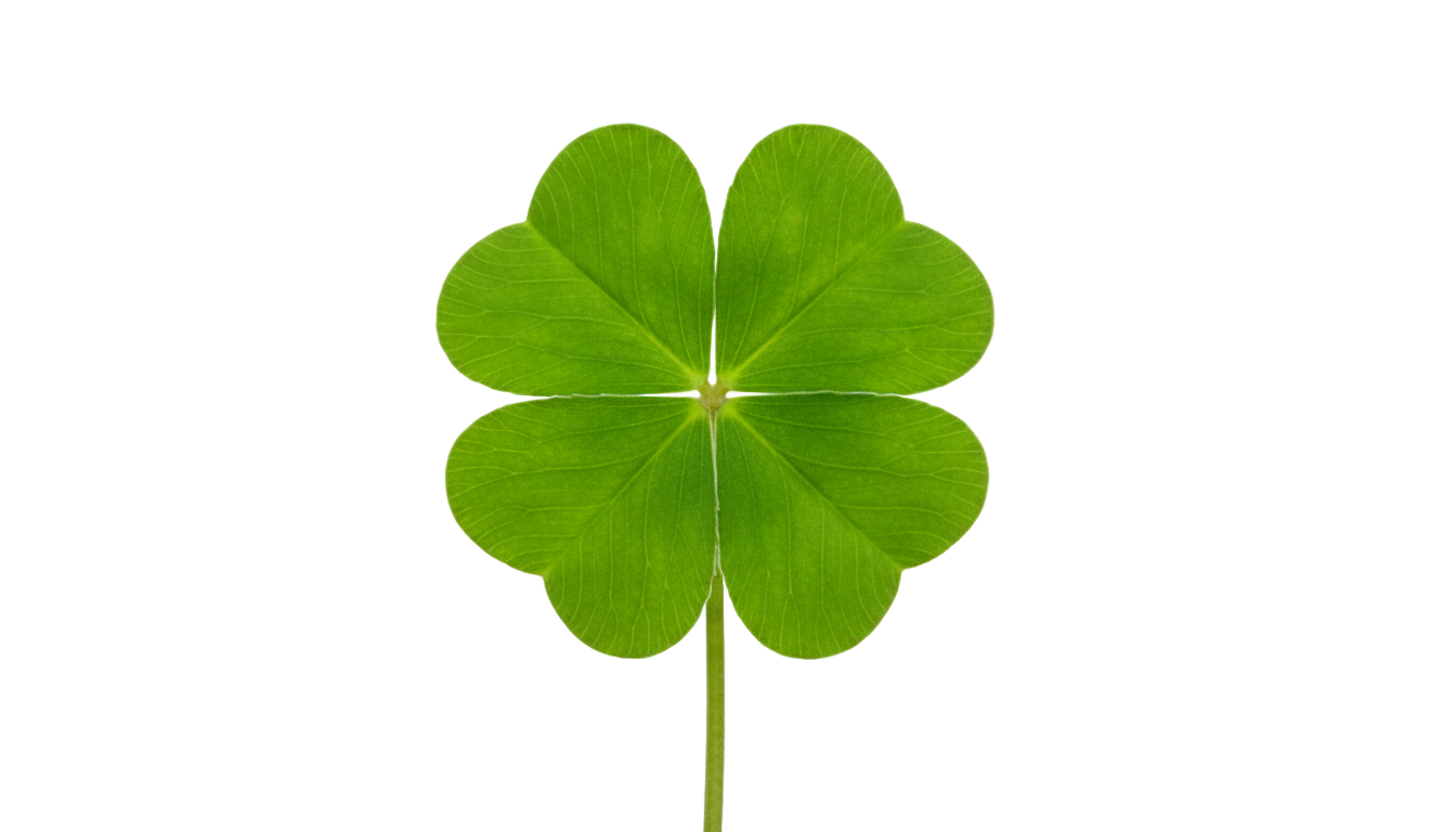 4 leaf clover clipart png PNG transparent background