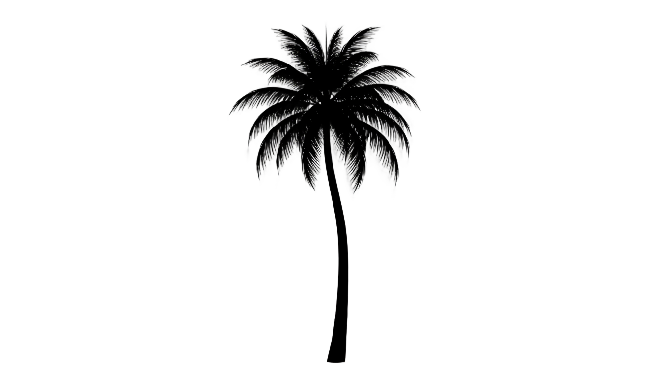 palm tree silhouette png PNG transparent background