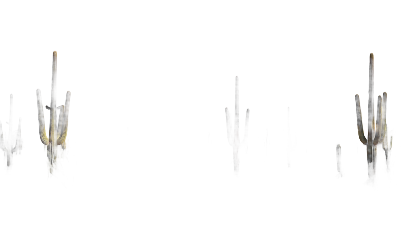 arizona desert png PNG transparent background