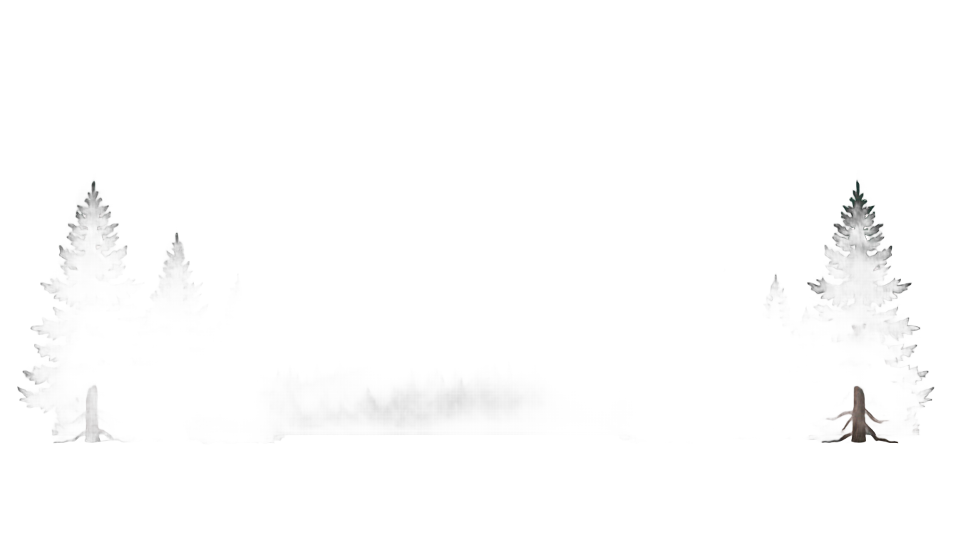 forest mountain png PNG transparent background