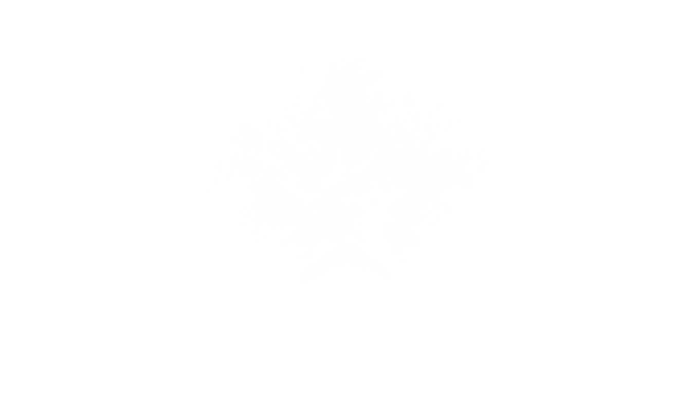 shining star png PNG transparent background