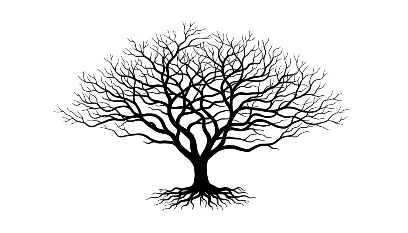 black tree png PNG transparent background