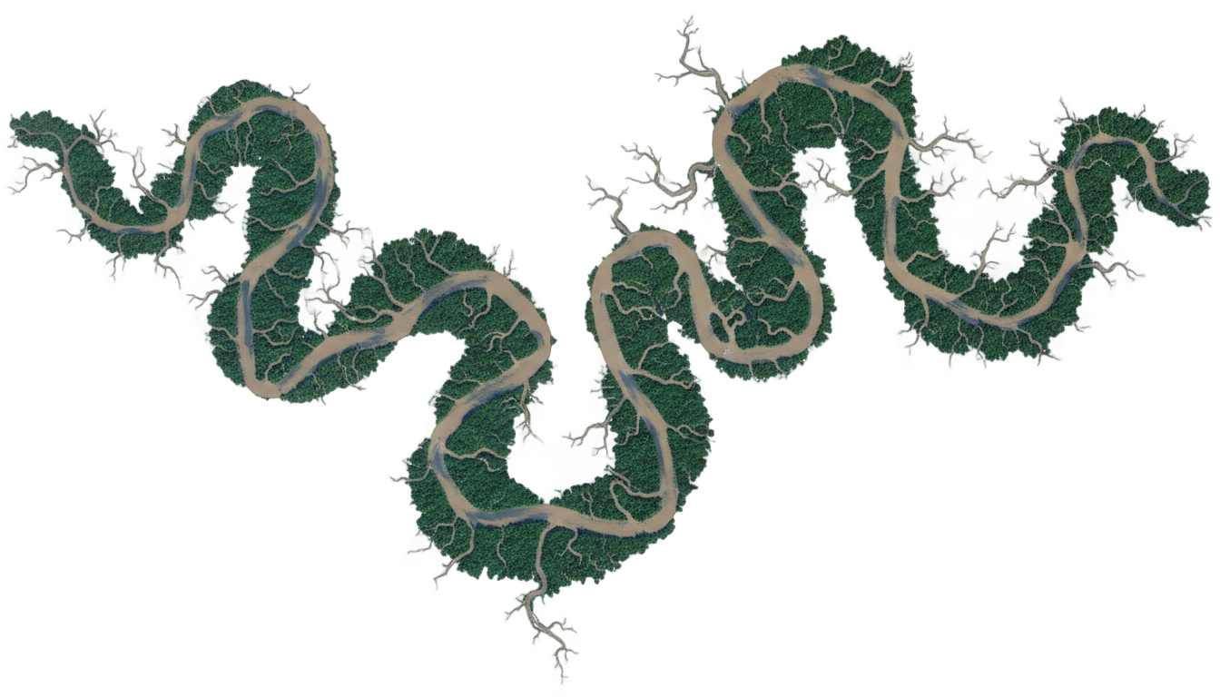 what is the biggest river in png PNG transparent background