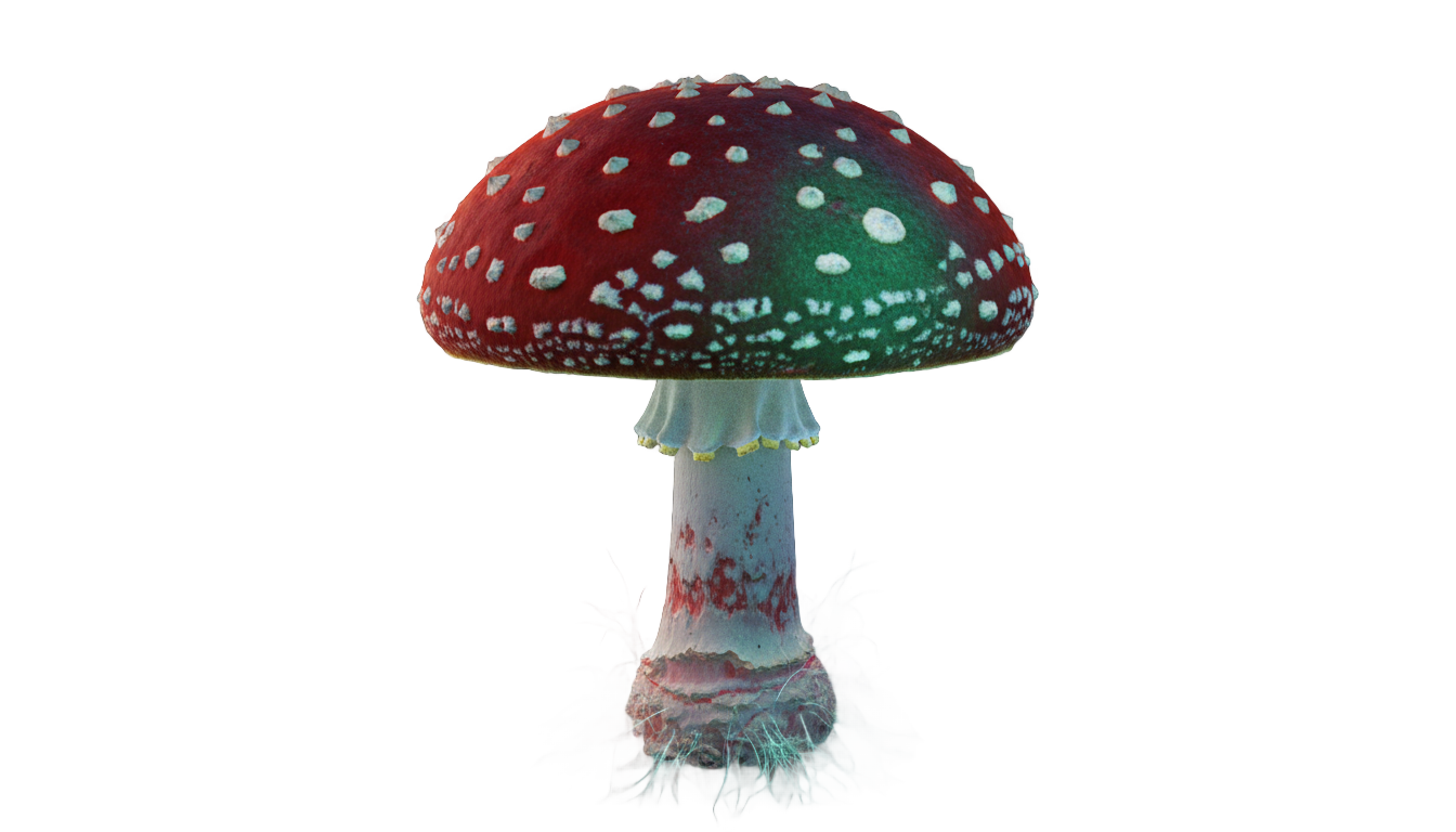teemo mushroom png PNG transparent background