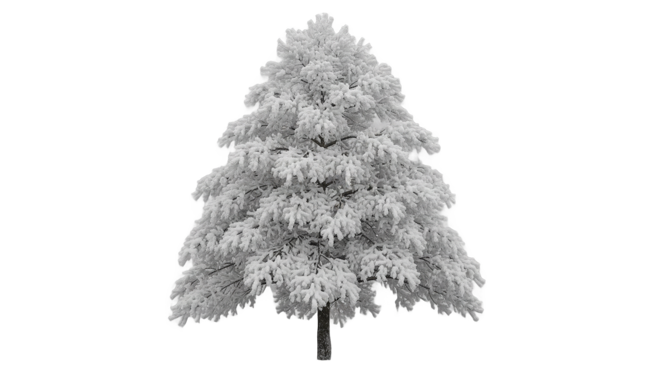 snow tree png PNG transparent background